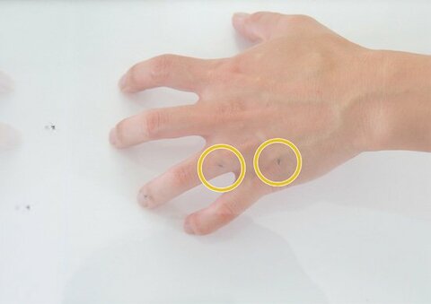 蚊対策 最強虫除けスプレー5選 蚊を放って実際に比較 360life サンロクマル 蚊対策 最強虫除けスプレー5選 蚊を放って実際に比較 360life サンロクマル