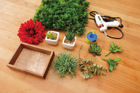 さすがセリアさん テンション上がる部屋づくり 壁面グリーン 360life サンロクマル