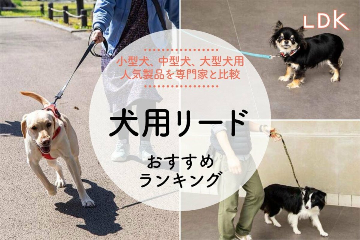 2024年】犬用リードのおすすめランキング23選。小型犬から大型犬用まで人気製品を徹底比較