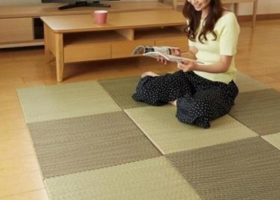 ニトリ 夏のリビングに 冷感ラグ ユニット畳が超機能的でした Monoqlo が紹介 360life サンロクマル
