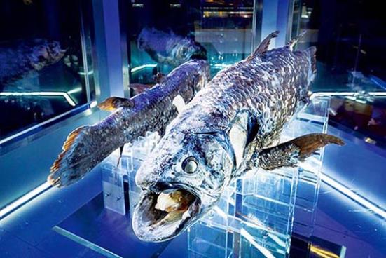 プロ厳選 静岡県の動物園 水族館おすすめ10選 デートや家族で行きたい人気スポットを紹介 360life サンロクマル