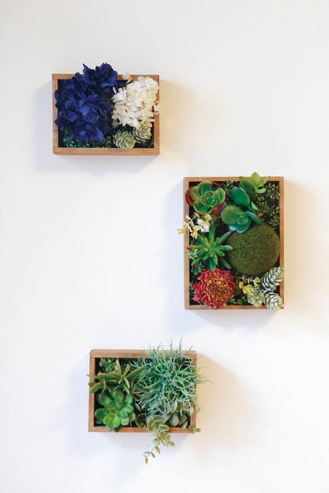 さすがセリアさん テンション上がる部屋づくり 壁面グリーン 360life サンロクマル