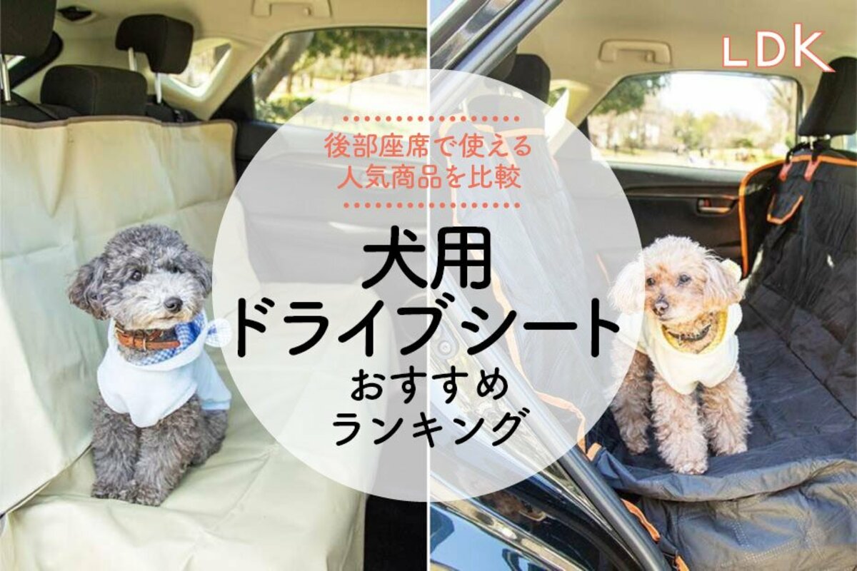 2024年】犬用ドライブシートのおすすめランキング6選。LDKが後部座席で使える人気商品を比較