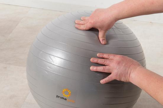 プロトレーナー厳選 バランスボールのおすすめランキング１４選 人気商品を徹底比較 360life サンロクマル