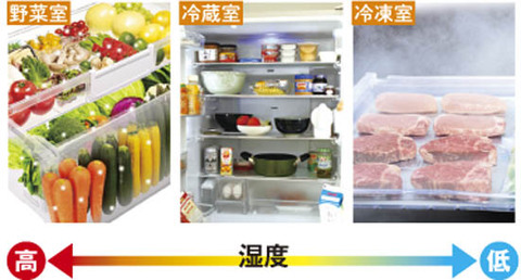 え ドアポケットに卵はダメ 冷蔵庫 やってしまいがちな4つのng 360life サンロクマル