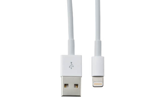 充電ケーブル:ライトニングケーブル:Apple Lightning USBケーブル:MD818AM/A