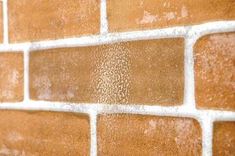 はがせる壁紙おすすめ6選 正解はニトリでした 360life サンロクマル