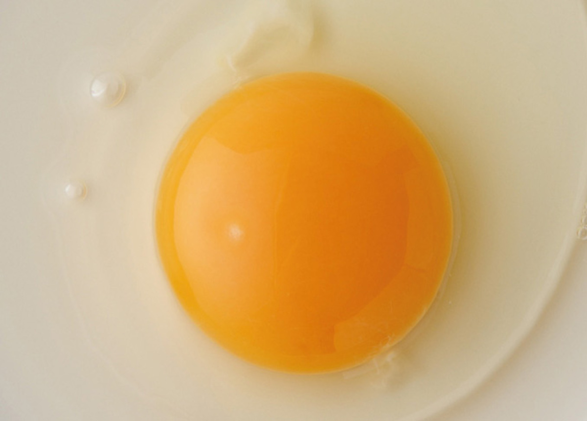 むしろ1日3個食べるべき 意外と知らない卵のキホンpart2 360life