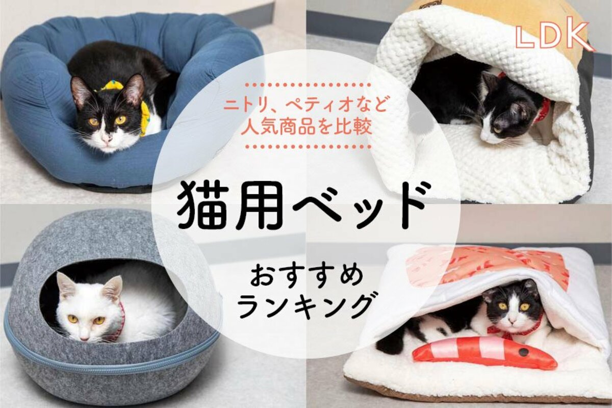2025年】猫用ベッドのおすすめランキング7選。ニトリ、ペティオ