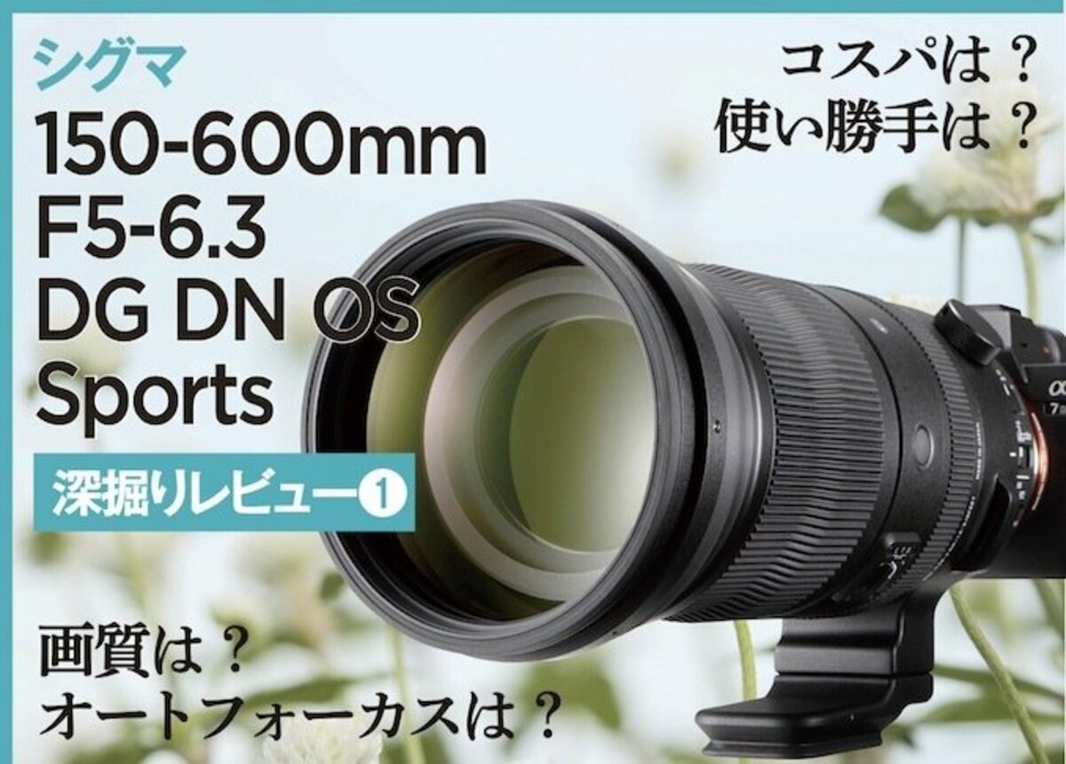 SIGMA150-600 望遠レンズ