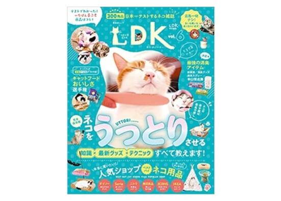 安くてかわいい 猫がくつろげるダイソーのおすすめアイテム プロが検証 360life サンロクマル