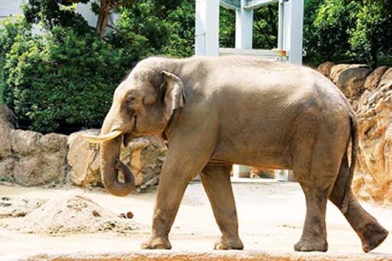 年 関東地方の動物園 水族館おすすめランキング28選 デートや家族で行きたい人気スポットを紹介 360life サンロクマル 年 関東地方の動物園 水族館おすすめランキング28選 デートや家族で行きたい人気スポットを紹介 360life サンロクマル