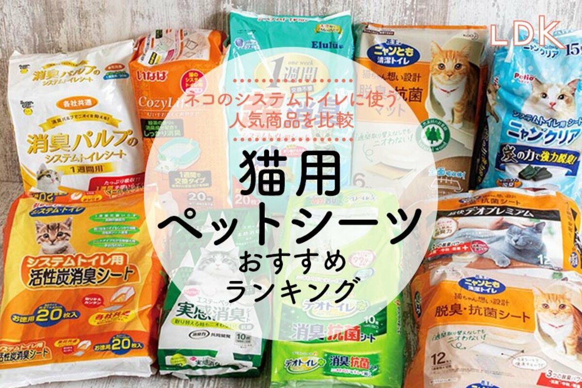 2024年】猫用ペットシーツのおすすめランキング13選。臭わない人気商品