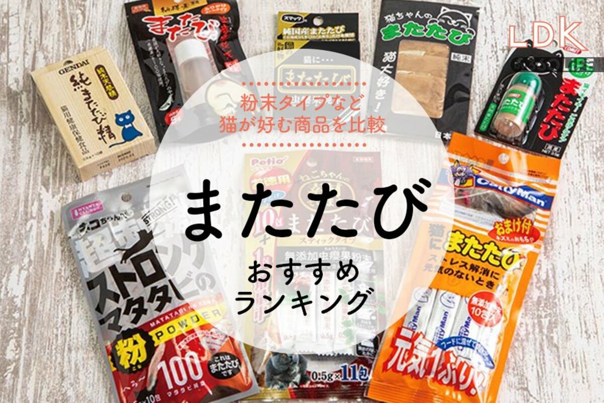 スリムビューティハウスエンザイム ローフードビレガ1箱 【公式通販】