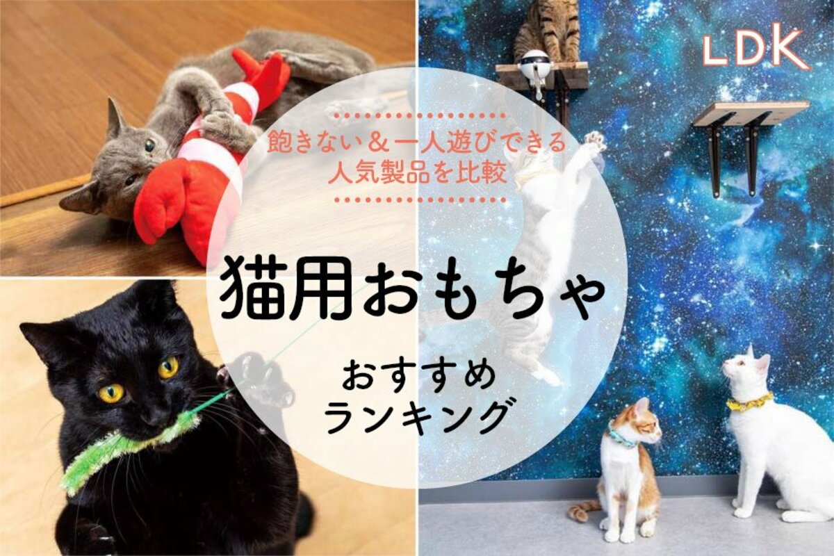 2024年】猫用おもちゃのおすすめランキング39選。猫じゃらしなど飽きない人気商品を徹底比較