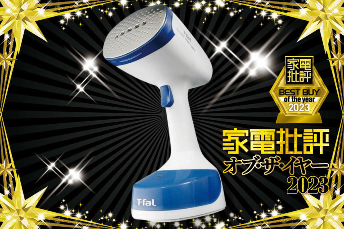 ティファール T-fal 衣類スチーマー アクセススチーム イージー 