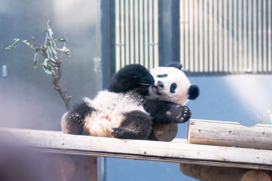 プロ厳選 東京都の動物園 水族館おすすめランキング11選 デートや家族で行きたい人気スポットを紹介 360life サンロクマル