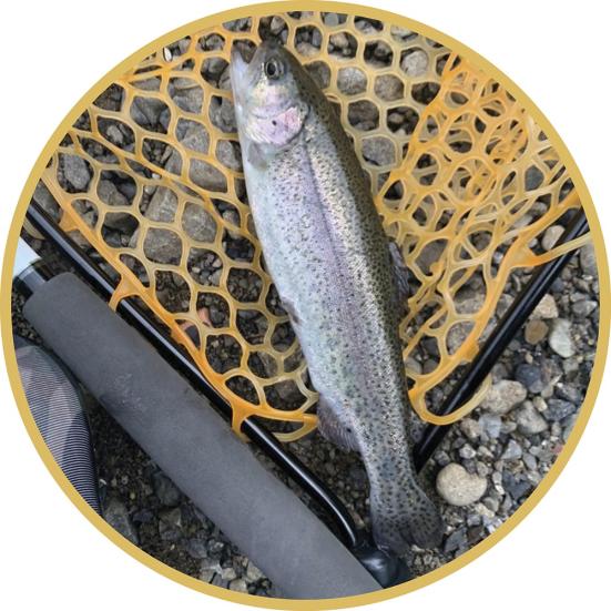 22年 テンカラ竿と毛鉤のおすすめランキング6選 プロが徹底比較 360life サンロクマル