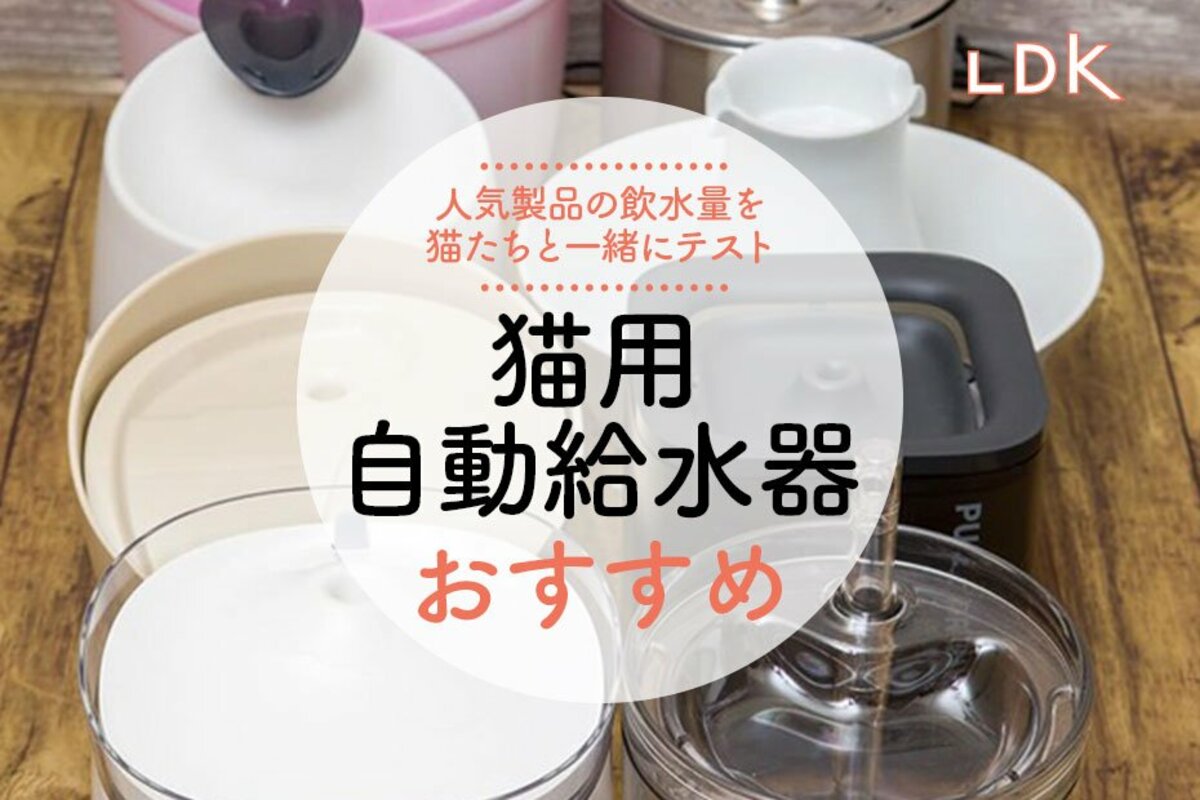 2023年】猫用自動給水器のおすすめ5選｜猫たちと飲水量を比較