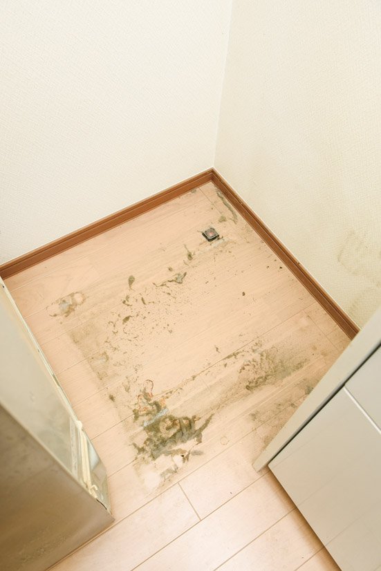 掃除の裏技 簡単な冷蔵庫の動かし方は 下や裏側をキレイに 360life サンロクマル