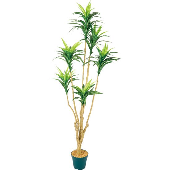 ニトリ:135cmドラセナ:フェイク観葉植物