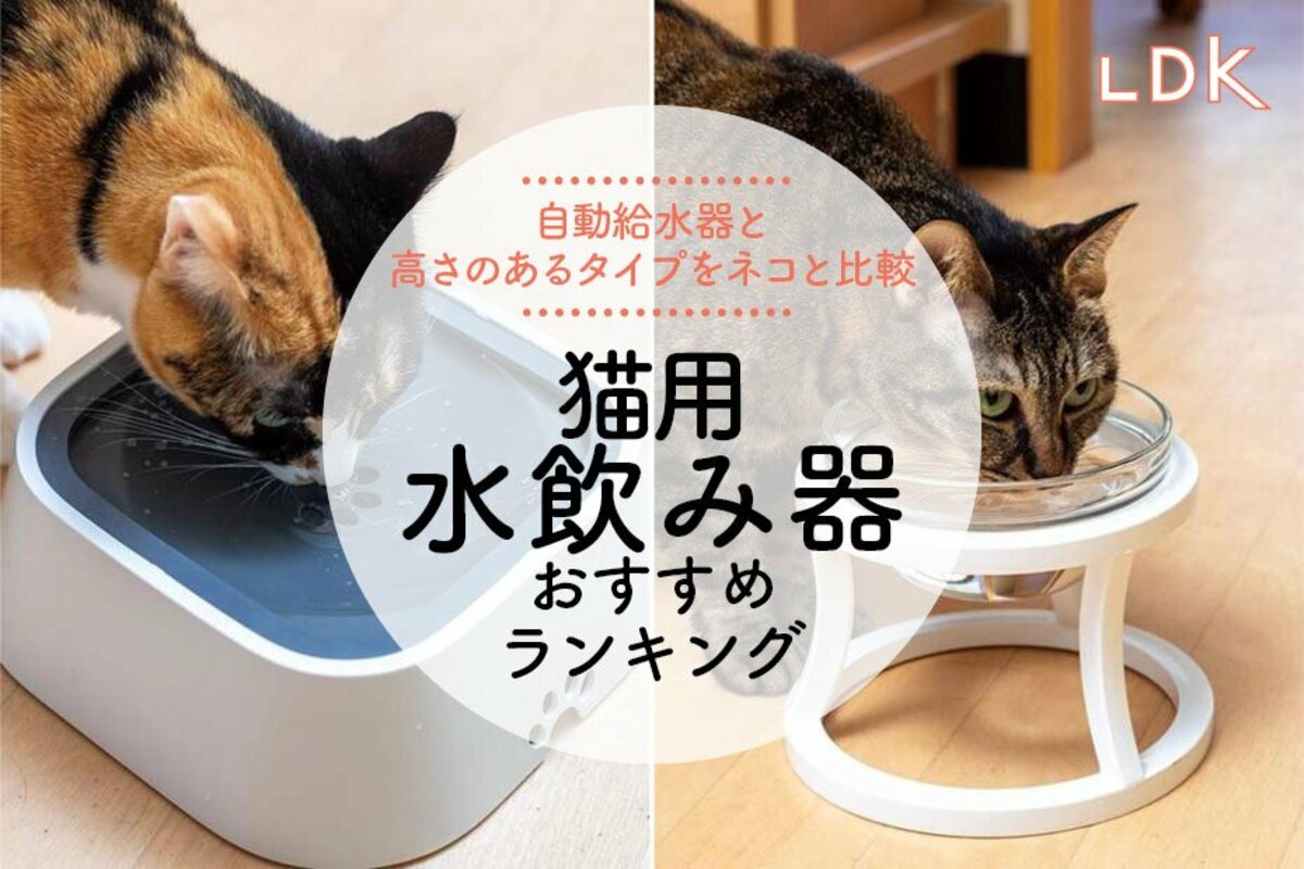 2024年】猫用水飲み器のおすすめランキング7選。LDKが陶器や自動給水器