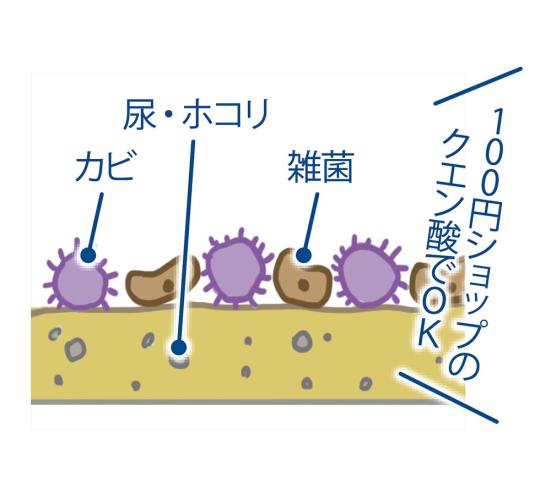 トイレの床 壁の黄ばみ汚れには クエン酸 の力が必要でした Ldk とお掃除のプロが徹底チェック 360life サンロクマル