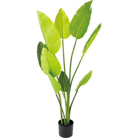 ニトリ:フェイクグリーン トラベラーズバーム130cm:フェイク観葉植物