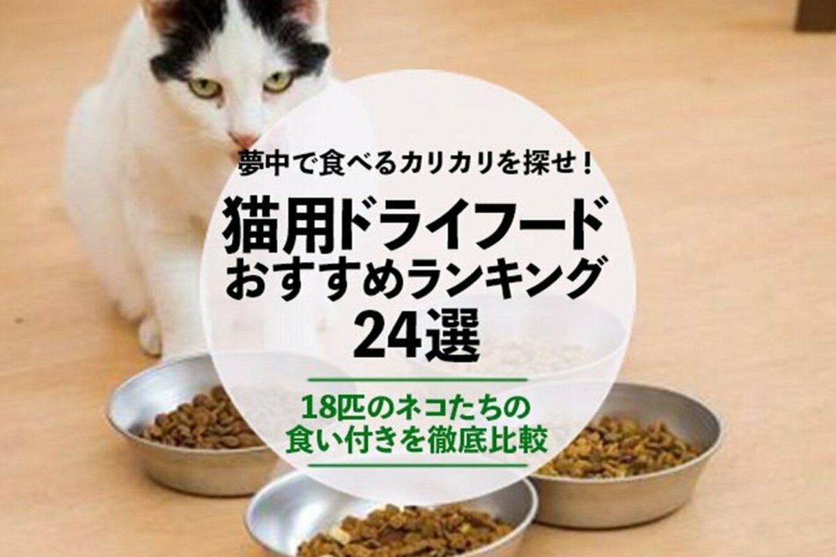 訳あり商品 いなば CIAO 20g×10袋 すごい乳酸菌クランキー 猫 総合栄養食