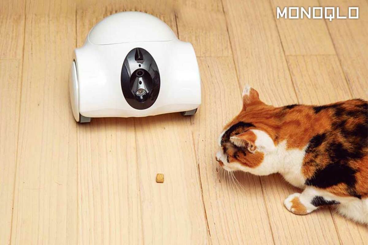 猫が喜ぶ部屋】外から遠隔で猫と遊べるペットカメラ! 猫が居座る