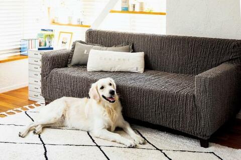 汚れる前にカバーで覆うのが大正解 おすすめソファカバーランキング4選 Ldk がテスト 360life サンロクマル