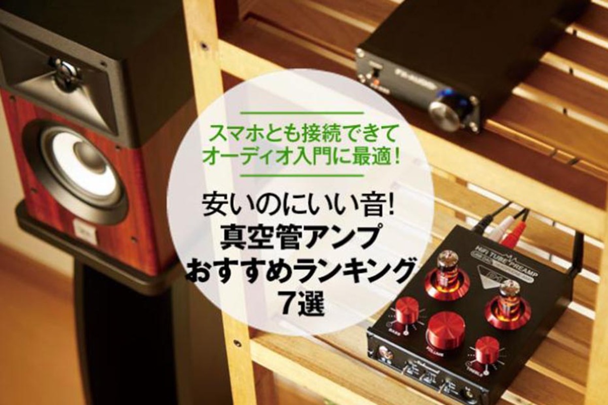 新素材新作 高価な真空管アンプの雰囲気が手軽に楽しめる♪❤驚愕の高