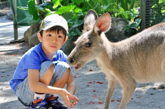 年 関東地方の動物園 水族館おすすめランキング28選 デートや家族で行きたい人気スポットを紹介 360life サンロクマル 年 関東地方の動物園 水族館おすすめランキング28選 デートや家族で行きたい人気スポットを紹介 360life サンロクマル
