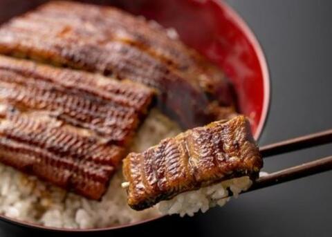 冬ギフト ウナギの名店味比べで1位 うなぎ処古賀 国産うなぎ蒲焼き おすすめ 360life サンロクマル